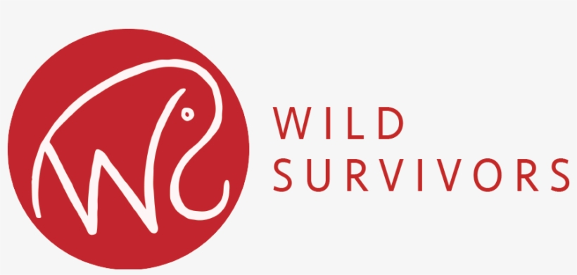 Ws Logo Red - Logo Aje Coruña, transparent png #991427