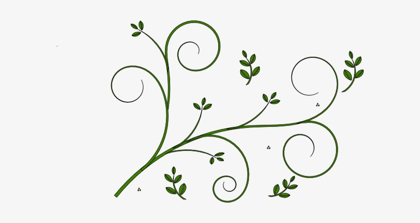Small - Vine Line Drawing Flower, transparent png #991471