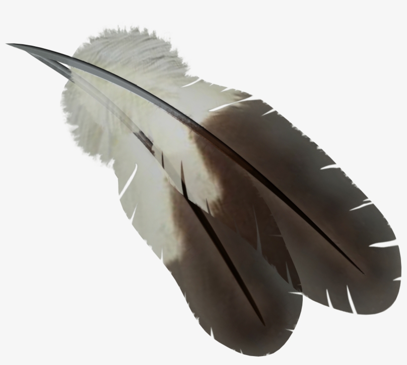 Перья В Png, transparent png #991705