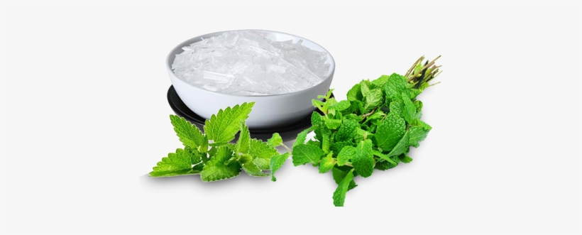 Menthol Crystal - Vi-tae Blackhead Remover Pore Minimizer & Unclogger, transparent png #991732