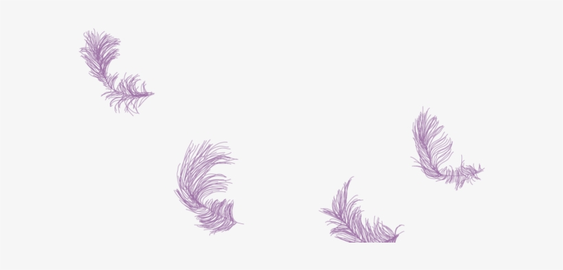 The Artist, Dawn Setford Is Status First Nations Registered - Sea Slug, transparent png #991862