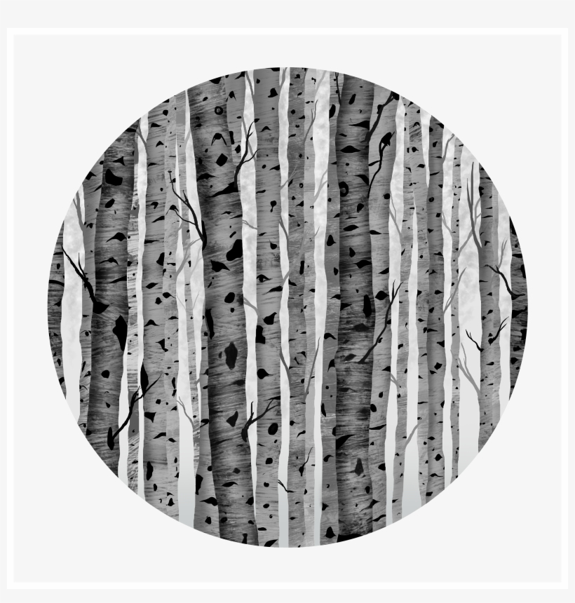 Aspen Trees - Tree, transparent png #991913