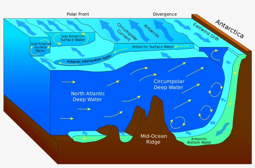 Antarctic Bottom Water - Antarctic Convergence And Divergence, transparent png #992156