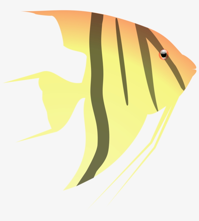 Aquarium, Fish, Yellow, Ocean, Orange, Water - Cartoon Angel Fish Png, transparent png #992222