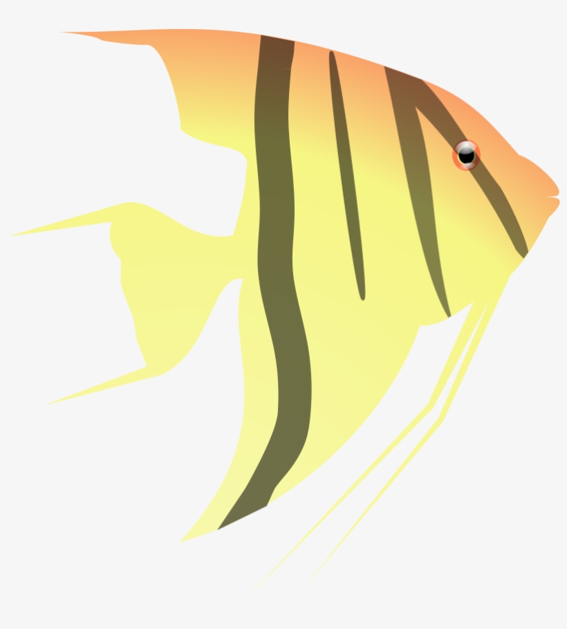 Aquarium, Fish, Yellow, Ocean, Orange, Water - Cartoon Angel Fish Png, transparent png #992222