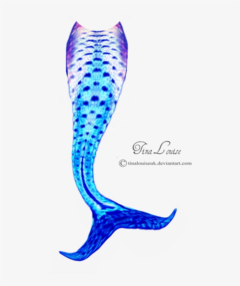 Mermaid Tail Clipart Transparent Background Mermaid
