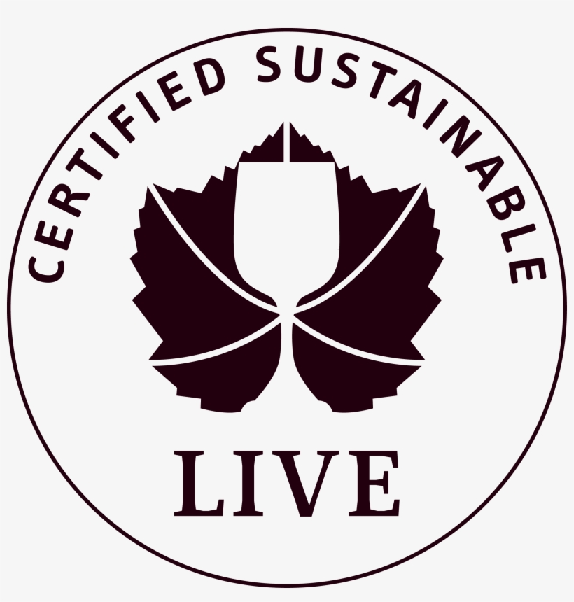 Sustainability, transparent png #994035