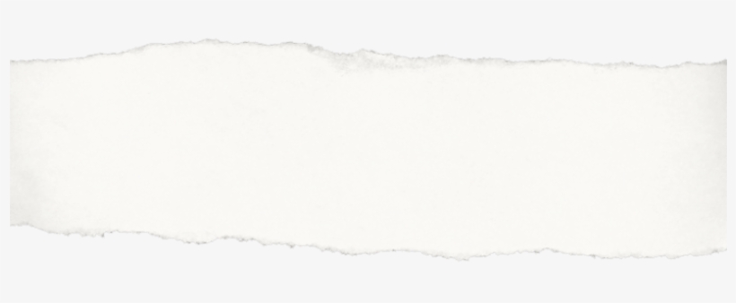 12 - Tree, transparent png #994037