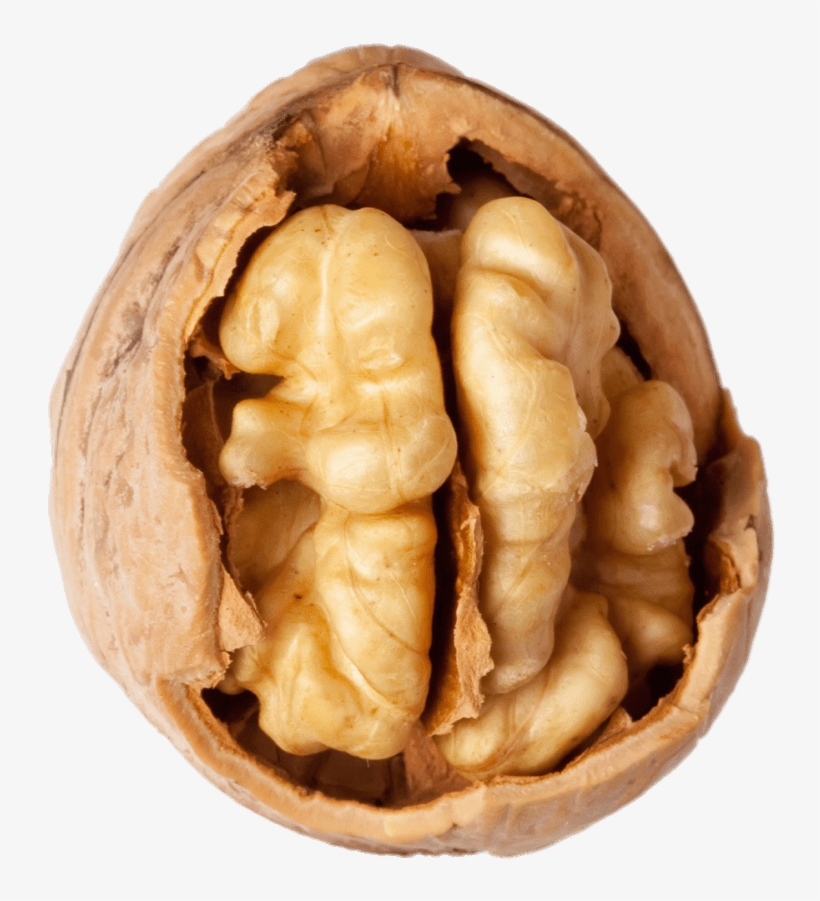 Nuts - Ceviz Içi, transparent png #994122