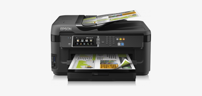 Vector Seashells Seamless Pattern On A Chalkboard Background - Seashell, transparent png #994123