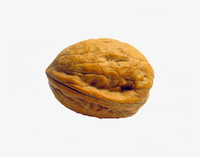 Walnut Png - Walnut In The Shell, transparent png #994234