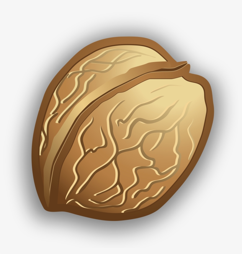 New Svg Image - Walnut Icon Png, transparent png #994287