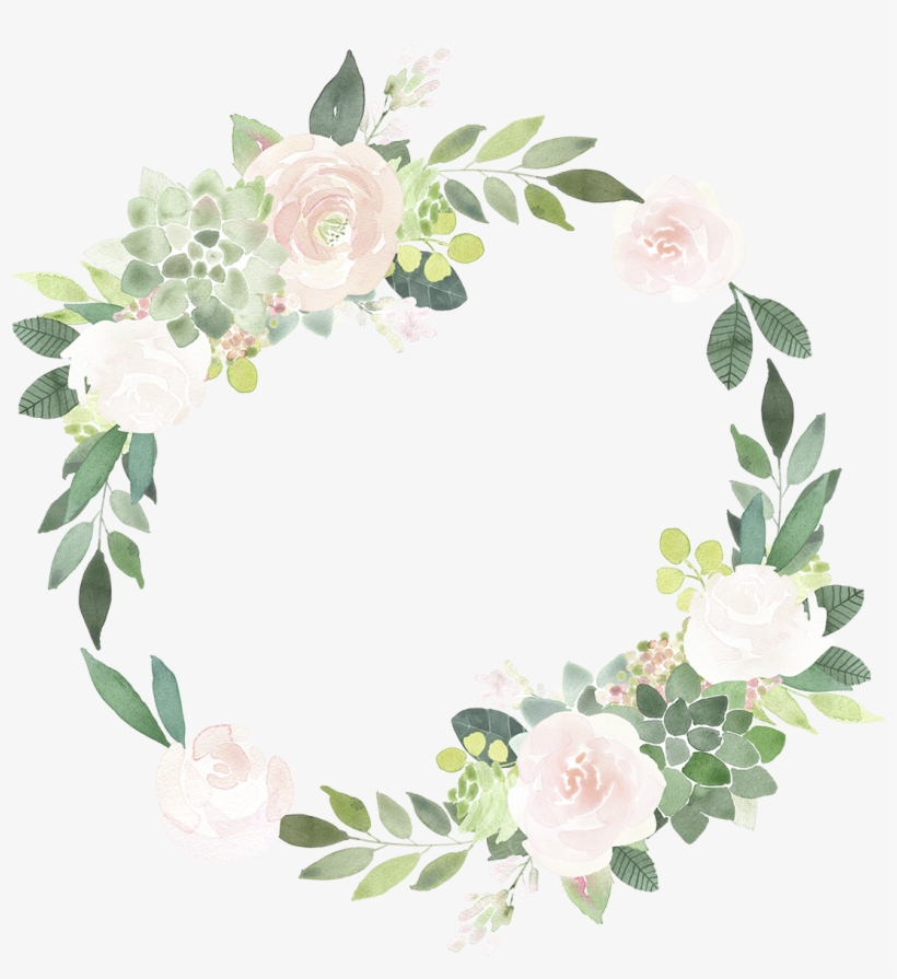 Clip Art Download Newborn Collections Ashley Oberholtzer - Watercolour Succulent And Pink Roses Png, transparent png #994374