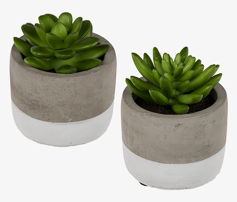 Stone Pots For Succulents, transparent png #994403