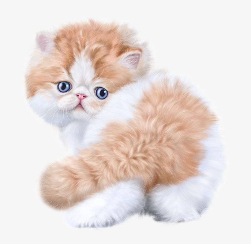 0 1607e7 6194aeed Xl - Cat, transparent png #994581