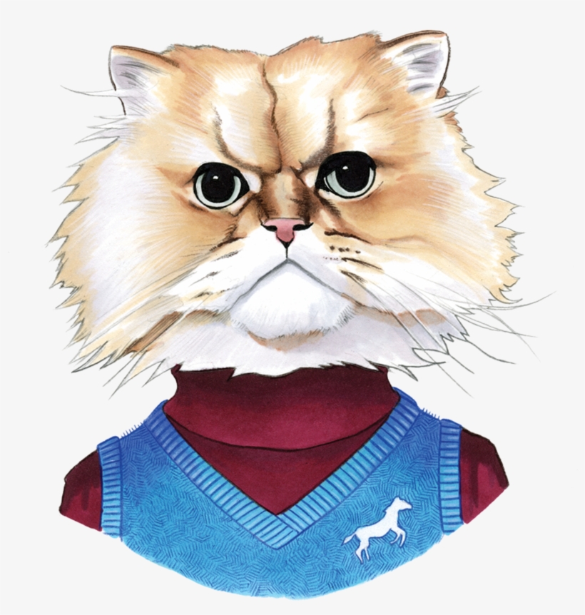 Fuzzy Cat - Ryan Berkley, transparent png #994698