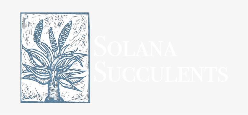 Aloes & Agaves In Cultivation, transparent png #994745