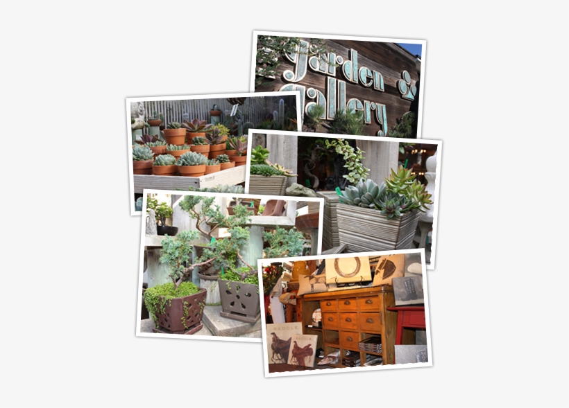 The Garden Gallery, Morro Bay, California - Garden Gallery, transparent png #994843