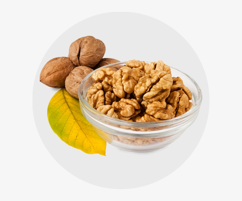 Walnut Kernels - Walnut, transparent png #994908