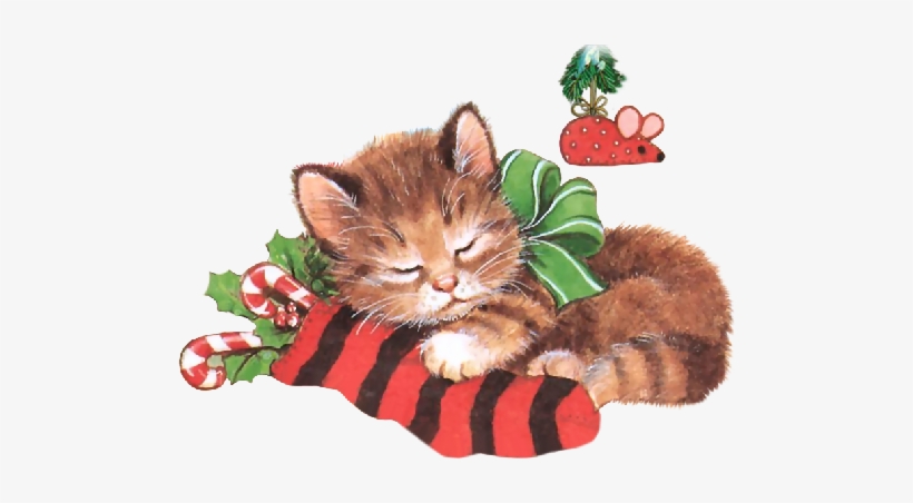 Christmas Cat Png, transparent png #994995