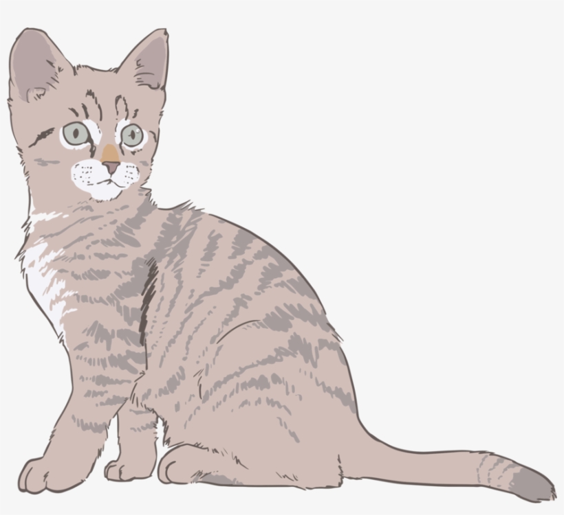 Kitten Cat Drawing Line Art Computer Icons Free Commercial - Kitten Drawing Color, transparent png #995018