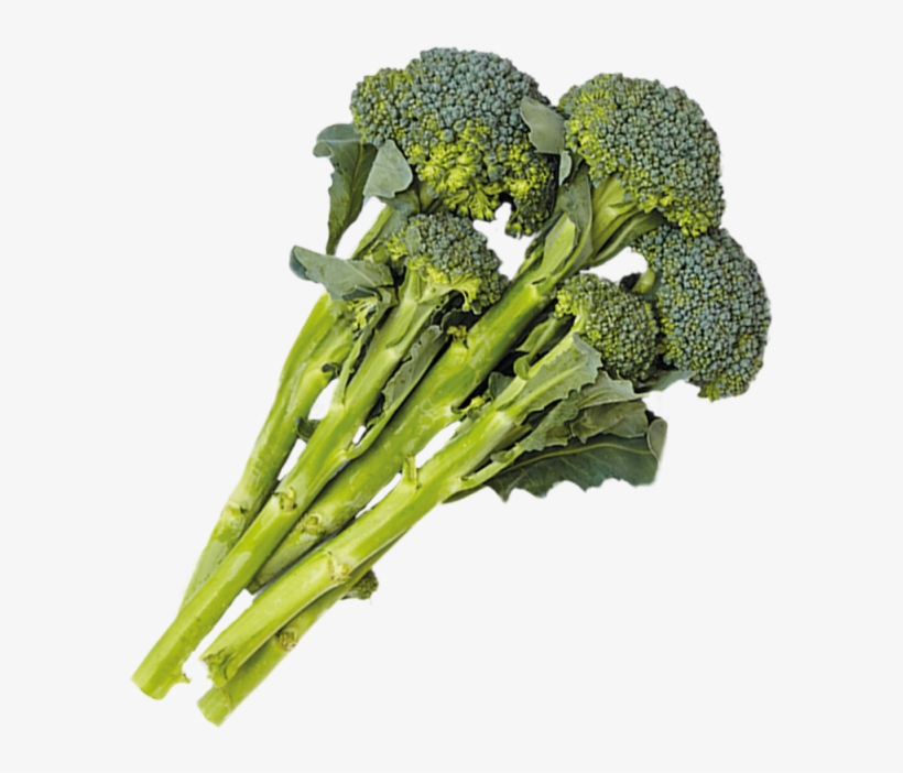 1 Cup - Broccoli, transparent png #995072