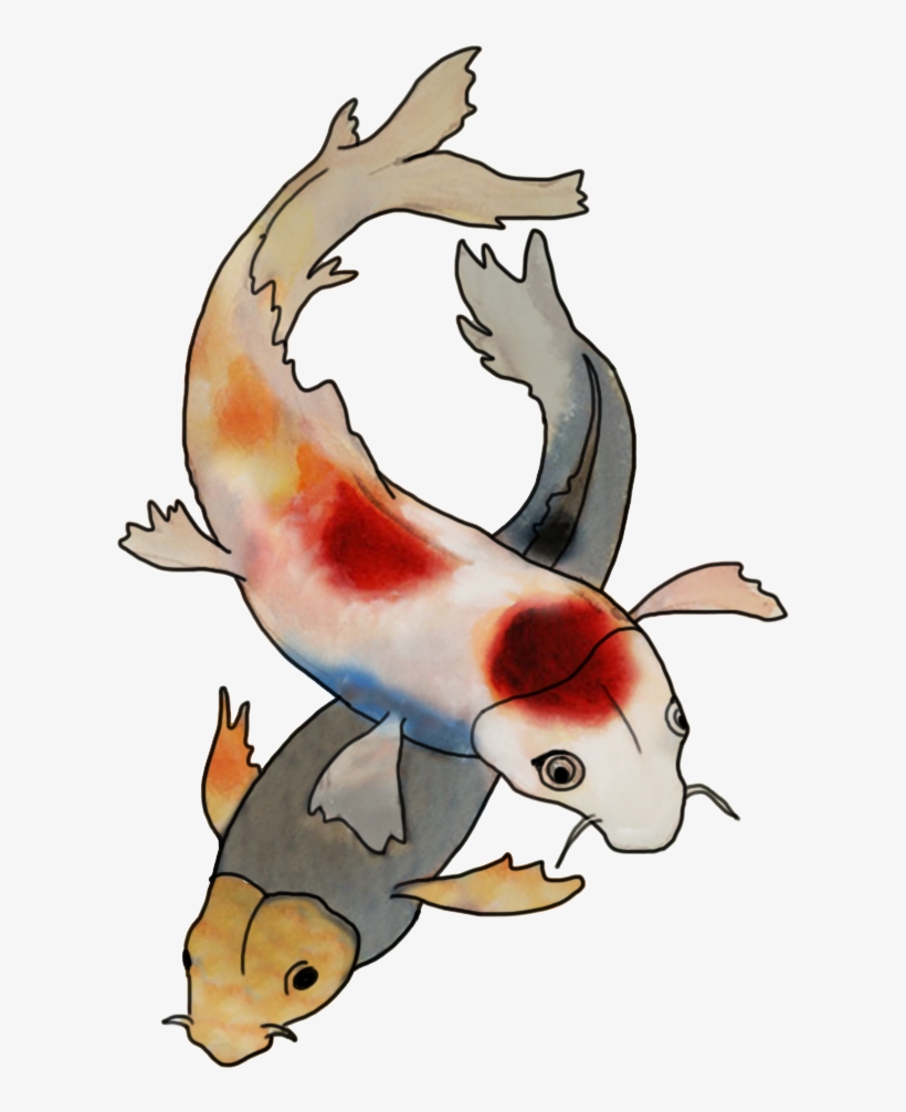 Clipart Resolution 757*993 - Koi, transparent png #995254