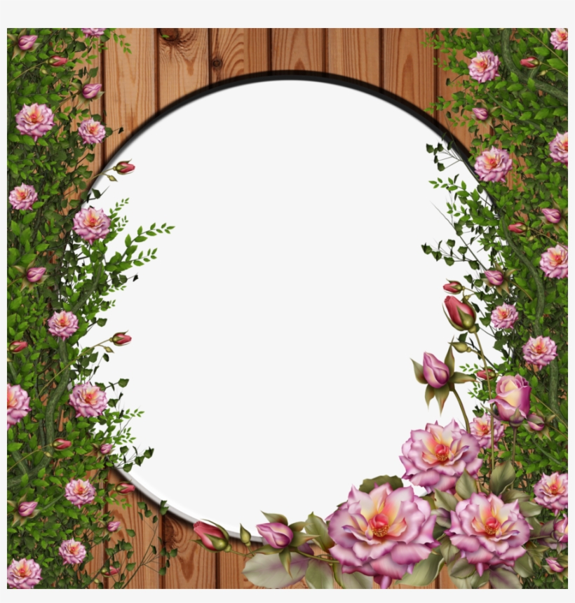 Png Rose By Collect - Rose Flower Frames Png, transparent png #995280
