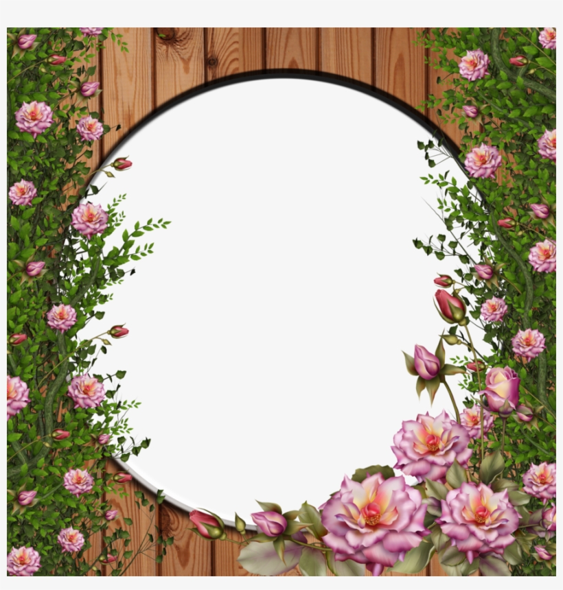 Png Rose By Collect - Rose Flower Frames Png, transparent png #995280