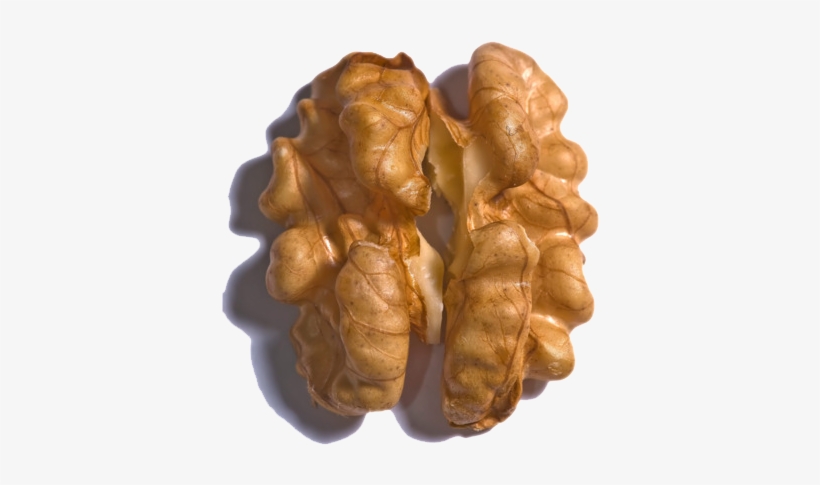 Walnut, transparent png #995304