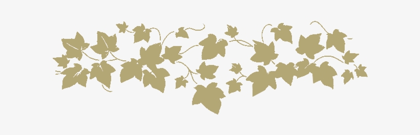 Floral Vines Png - Norwall Wallcoverings Cherry Leafs Wallpaper Border, transparent png #995618