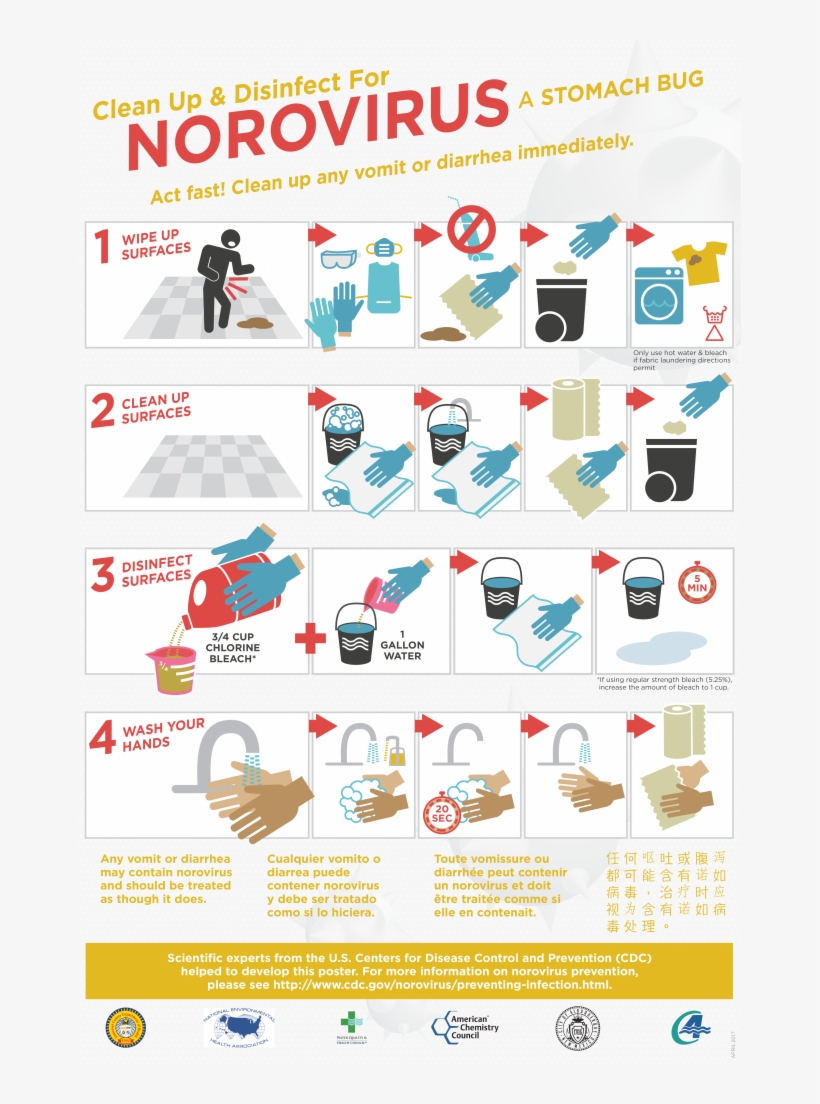A New Resource To Help Curtail Norovirus - Stitch, transparent png #995644