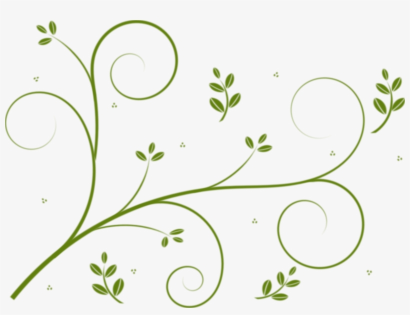 Flower Designs Vine Drawing Flowering Plant - Vine Clipart Transparent, transparent png #995668