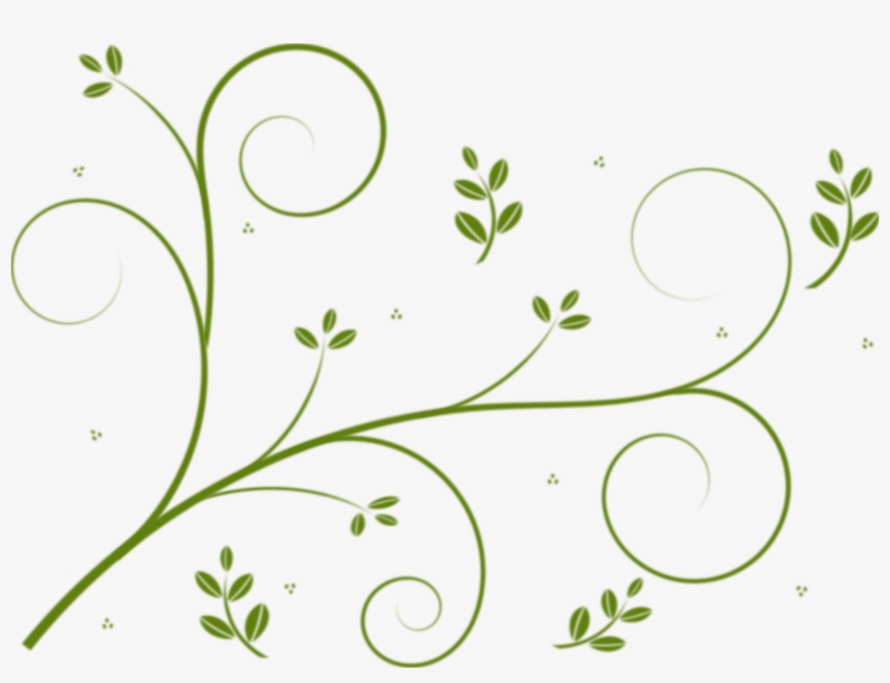 Flower Designs Vine Drawing Flowering Plant Vine Clipart