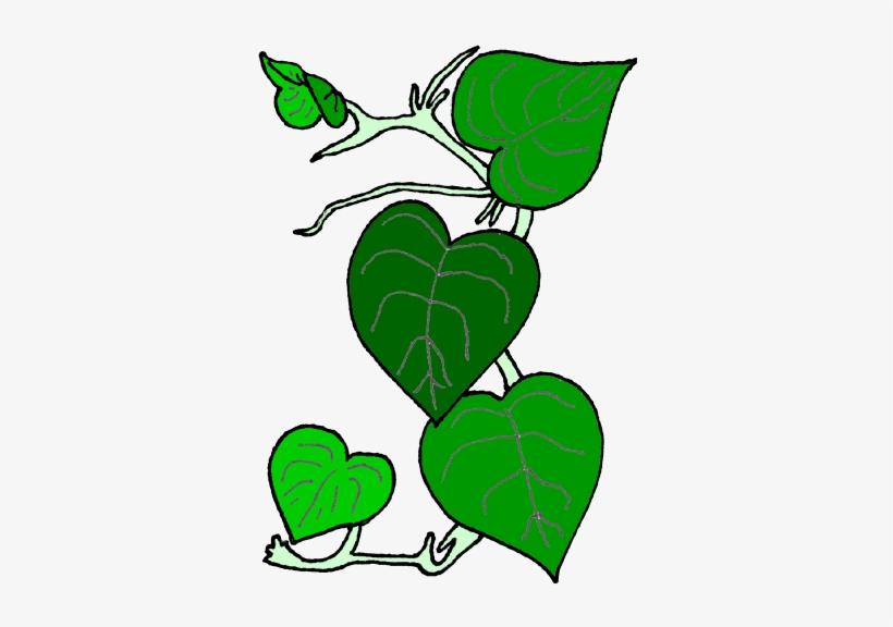 Vines Clip Art, transparent png #995838