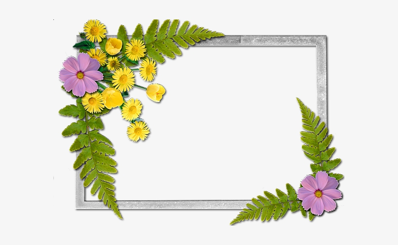 Flowers Frame - Frames Images With Flowers, transparent png #995865