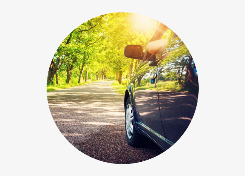 Car Driving Down Tree Lined Road Roundel - Car, transparent png #996439