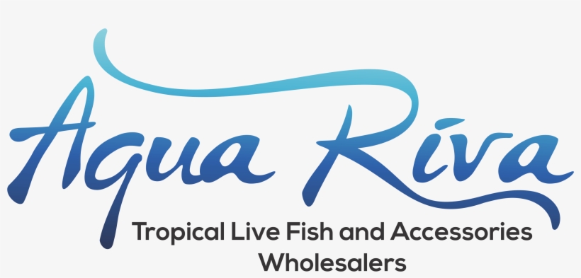 Aqua Riva - Calligraphy, transparent png #996549