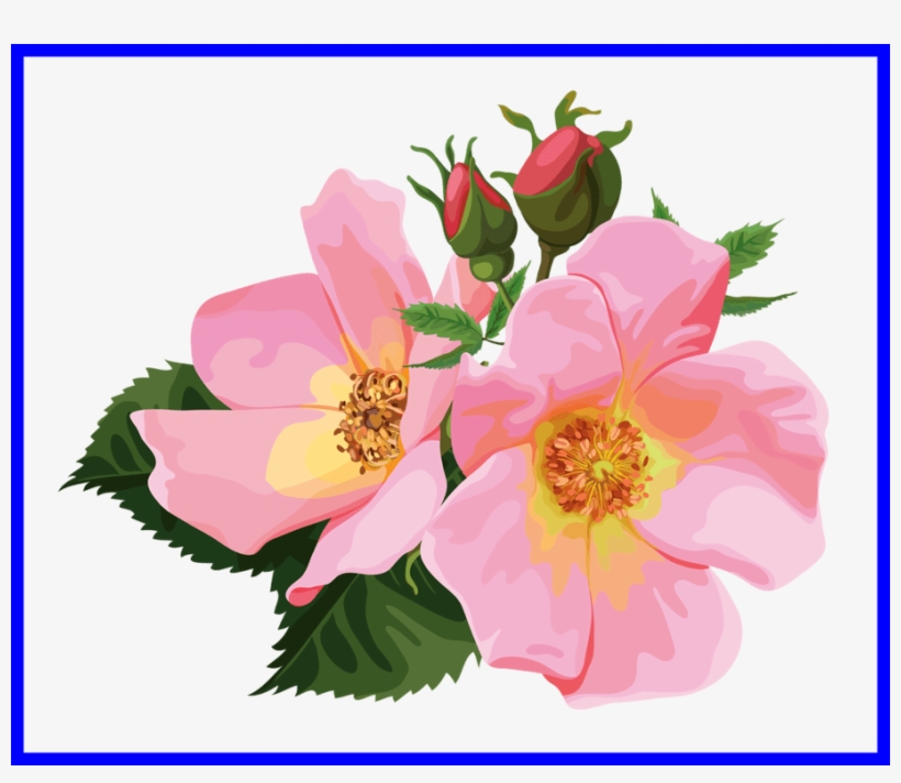 Shocking Png Flower Art - Floral Clipart Transparent, transparent png #997223
