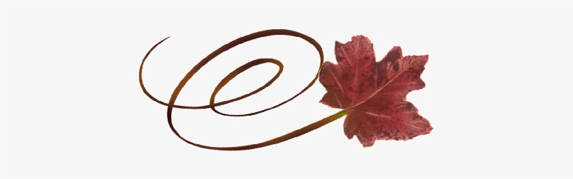 Spring Flowers, Autumn Leaves, Grapes Swirly Red Maple - Fall Wedding, transparent png #997487