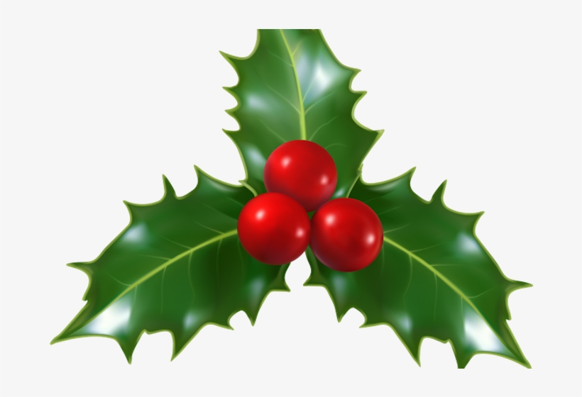 Winter In The Garden Holiday Festival Is A Seasonal - Christmas Holly, transparent png #997625