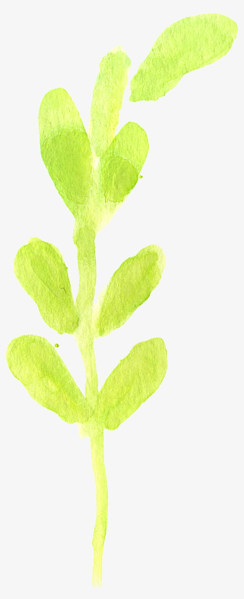 1 2 - Watercolor Painting, transparent png #997677