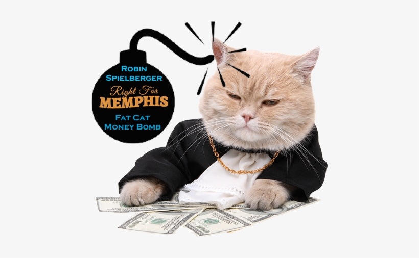 Published July 18, 2015 At 479 × 435 In - Rich Cat, transparent png #997950