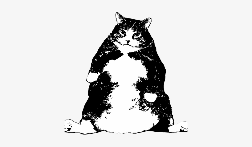 Fat Cat Woodworks - Domestic Short-haired Cat, transparent png #998174