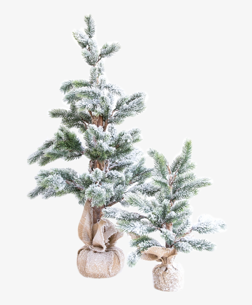 Faux Snowy Pine Tree 2 - Pine, transparent png #998318