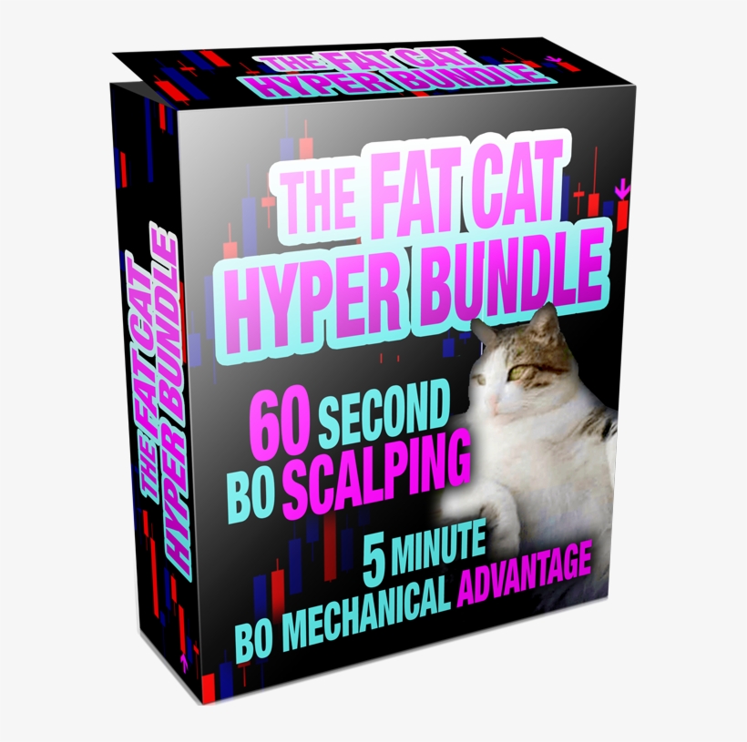 Get The Fat Cat Hyper Bundle Now, And See For Yourself, - Asian, transparent png #998379
