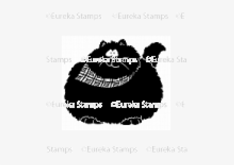 Cat, transparent png #998543