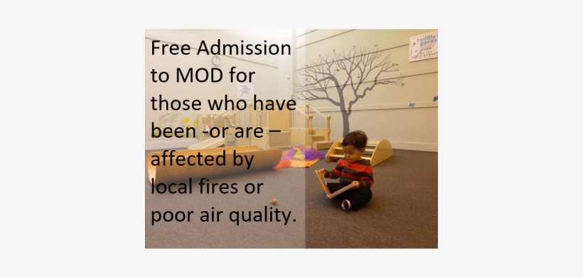 Community - The Santa Cruz Children’s Museum Of Discovery, transparent png #998633