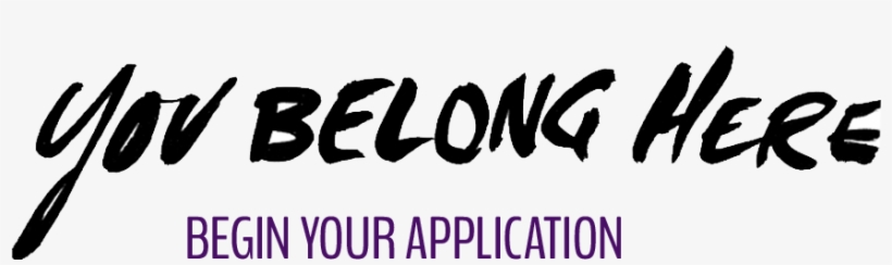 Complete Our Free Online Application By First Indicating - Calligraphy, transparent png #998844