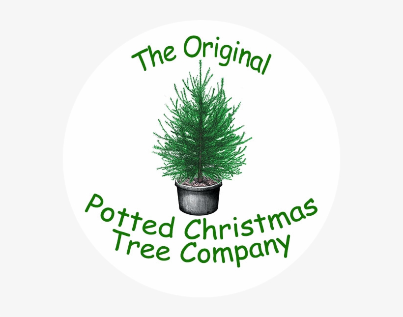 The Original Potted Christmas Tree Company - Paws4critters We Woof You A Square Sticker 3" X 3", transparent png #999092